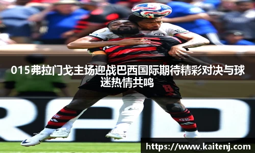 hth华体会入口