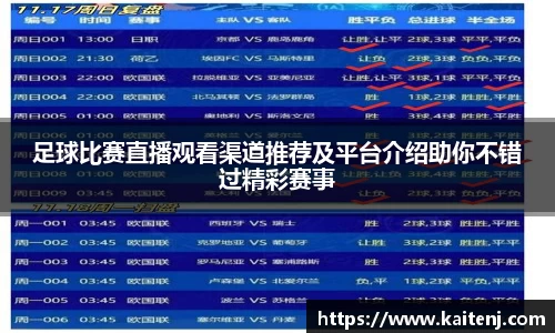 hth华体会入口